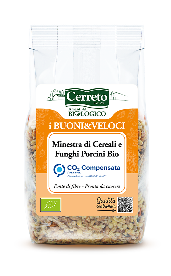 Minestra di Cereali e Funghi Porcini